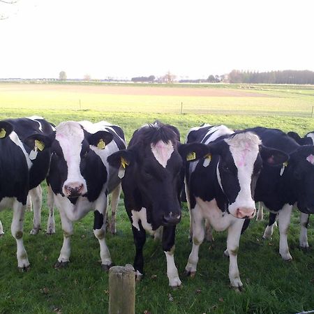 B&B Boerderij Wijtvliet Langeweg Esterno foto