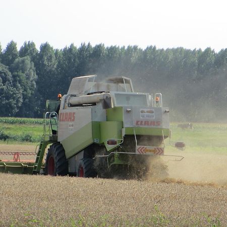 B&B Boerderij Wijtvliet Langeweg Esterno foto