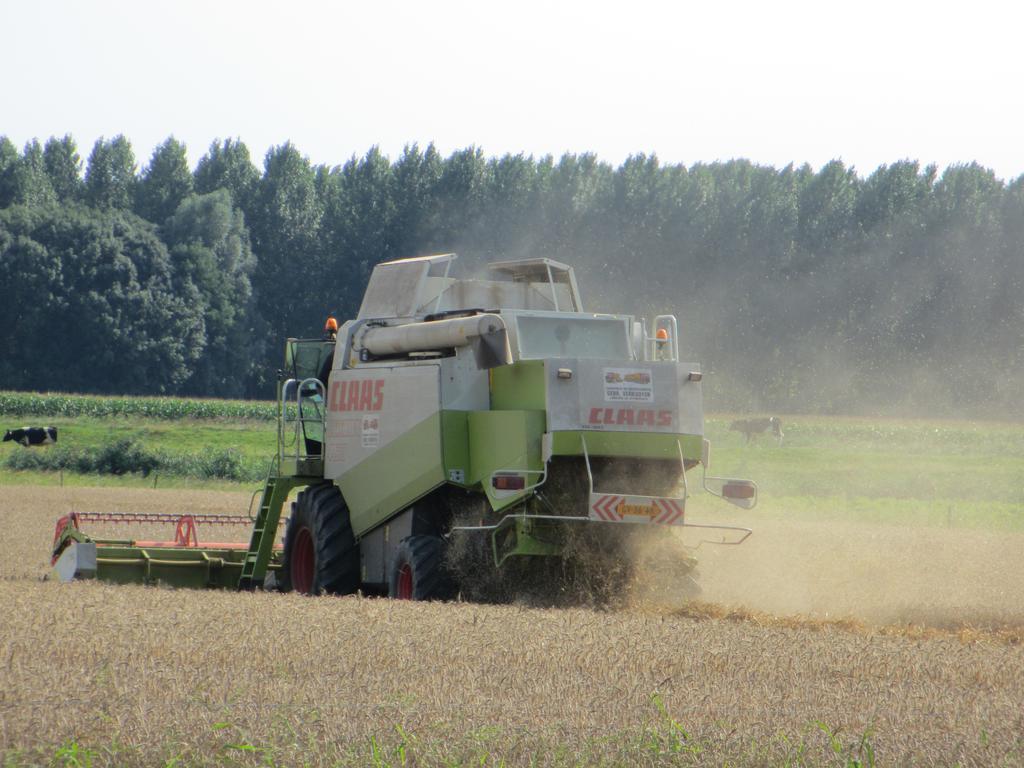 B&B Boerderij Wijtvliet Langeweg Esterno foto